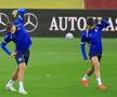 Naționala Bosniei, antrenament oficial pe Arena Națională/ foto: Ionuț Iordache (GSP)