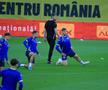Naționala Bosniei, antrenament oficial pe Arena Națională/ foto: Ionuț Iordache (GSP)