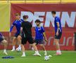 Naționala Bosniei, antrenament oficial pe Arena Națională/ foto: Ionuț Iordache (GSP)