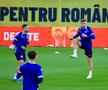 Naționala Bosniei, antrenament oficial pe Arena Națională/ foto: Ionuț Iordache (GSP)