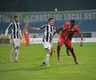FC BOTOȘANI - ASTRA 1-2 // VIDEO+FOTO » Cronică de Remus Răureanu: Muncitori și salvatori
