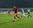 FC BOTOȘANI - ASTRA 1-2 // VIDEO+FOTO » Cronică de Remus Răureanu: Muncitori și salvatori