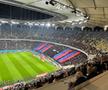 FCSB - Rapid » Mesajele afișate de cele două galerii la derby, foto: GSP