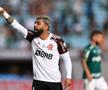 Palmeiras - Flamengo, finala Copa America 2021