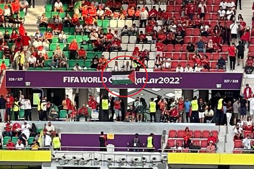 Steagul Palestinei a fost îndepărtat imediat de stewarzi / foto: Gazeta Sporturilor