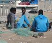 Am asistat la ritualul aducerii, scoaterii și spălării crabilor în Piața de Pește din Doha » Câți bani au încasat pescarii indieni pentru captura de jumătate de tonă, într-o zi de muncă