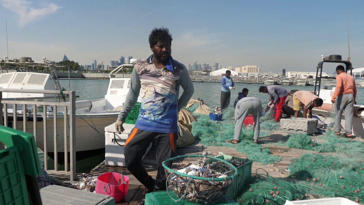 La pescuit de crabi în Doha