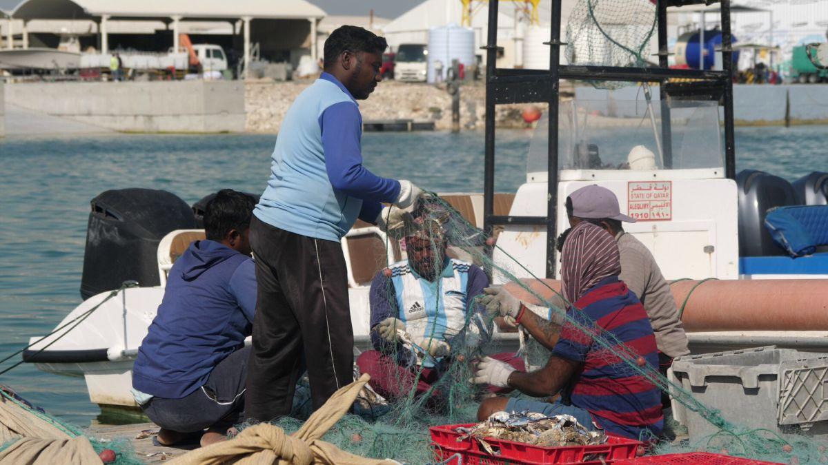 Am asistat la ritualul aducerii, scoaterii și spălării crabilor în Piața de Pește din Doha » Câți bani au încasat pescarii indieni pentru captura de jumătate de tonă, într-o zi de muncă