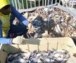GSP a participat în Piața de Pește din Doha la ritualul aducerii, scoaterii din plasă, trierii și spălării crabilor de către muncitori indieni, care își câștigă existența exclusiv din acest lucru.