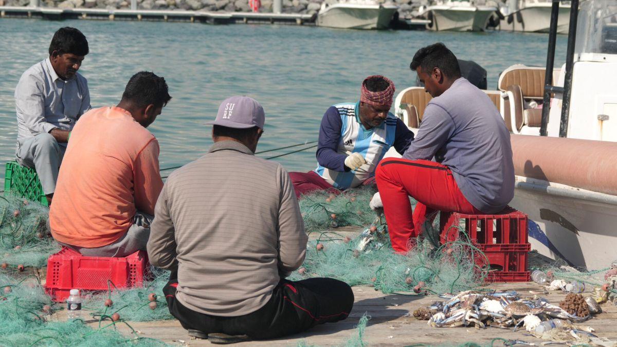 La pescuit de crabi în Doha