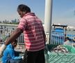 Am asistat la ritualul aducerii, scoaterii și spălării crabilor în Piața de Pește din Doha » Câți bani au încasat pescarii indieni pentru captura de jumătate de tonă, într-o zi de muncă
