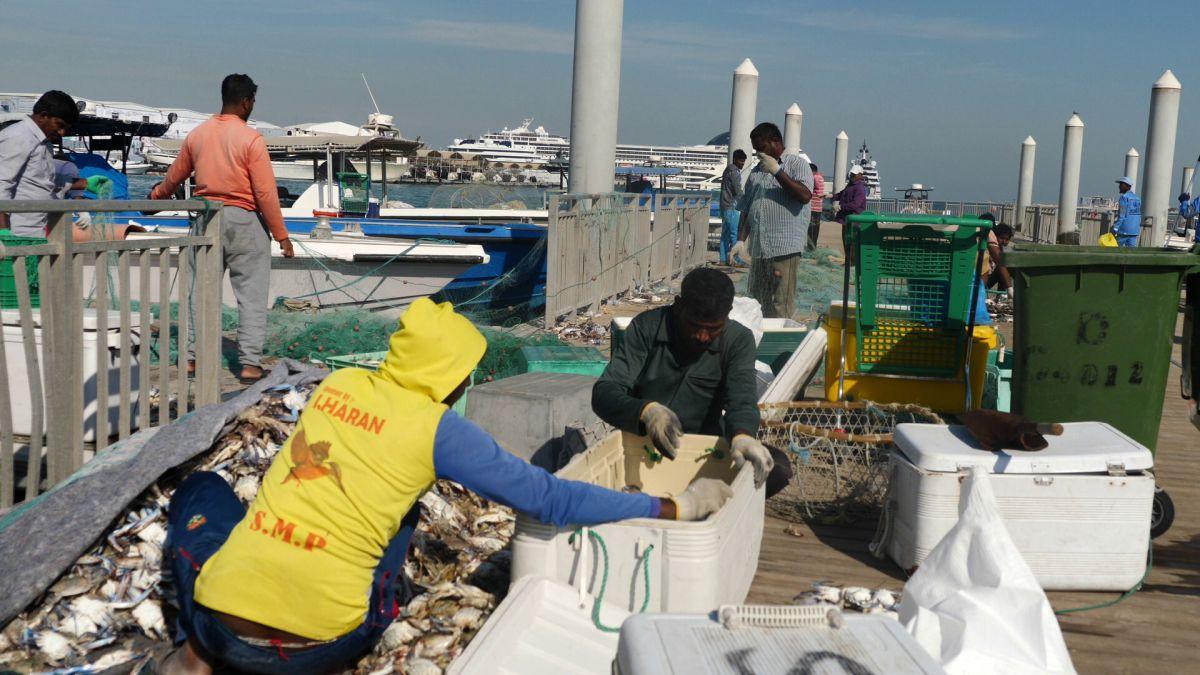 La pescuit de crabi în Doha