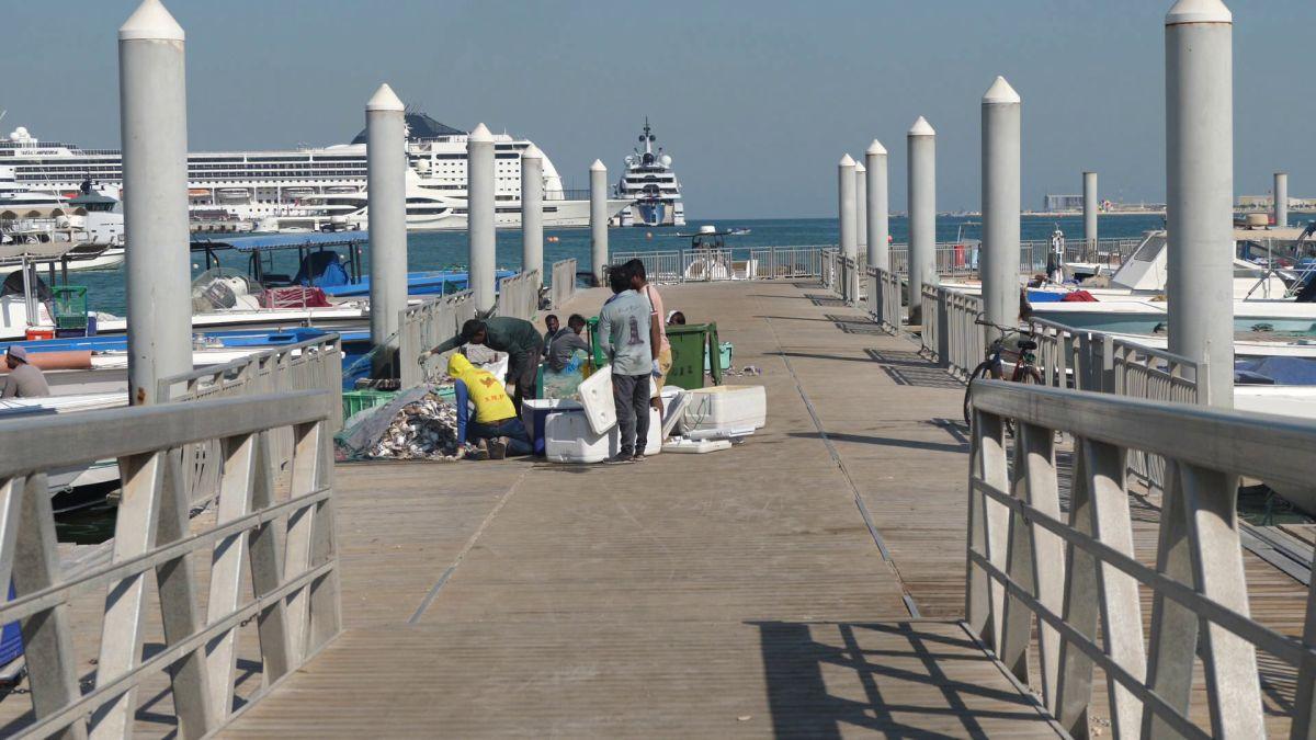 Am asistat la ritualul aducerii, scoaterii și spălării crabilor în Piața de Pește din Doha » Câți bani au încasat pescarii indieni pentru captura de jumătate de tonă, într-o zi de muncă