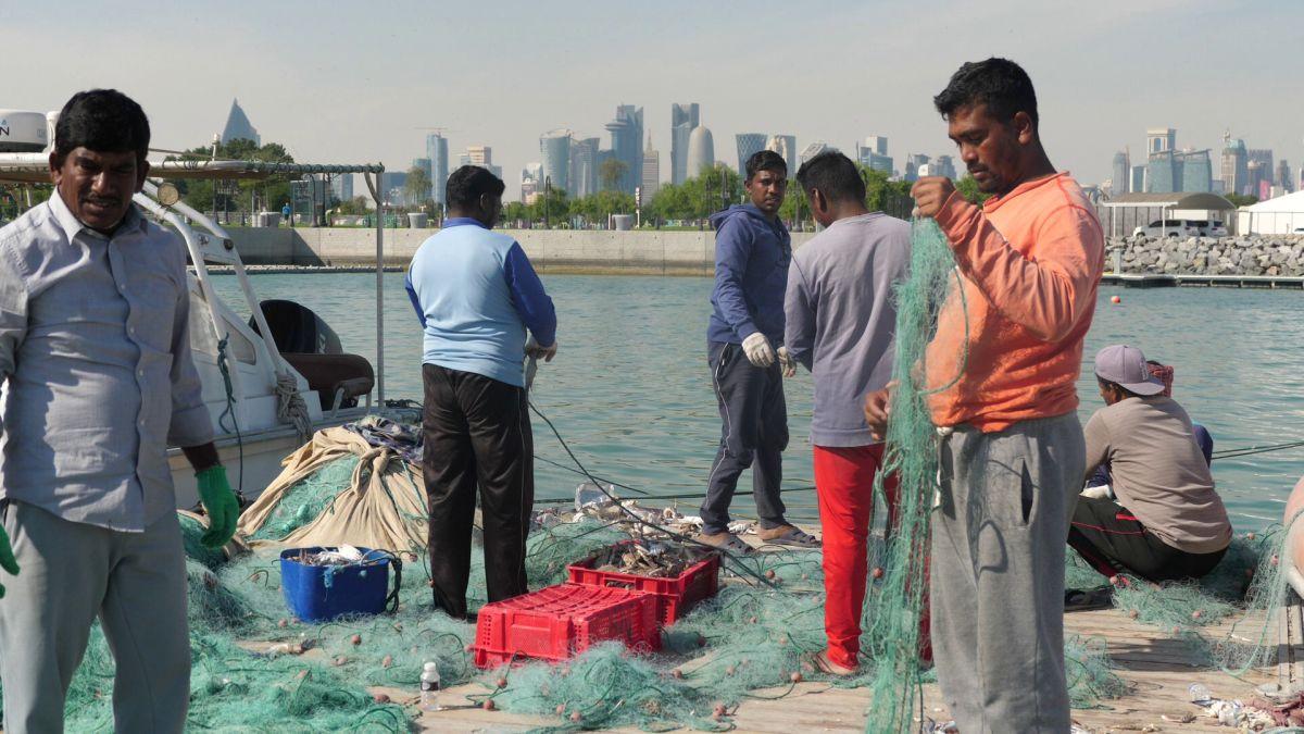 La pescuit de crabi în Doha