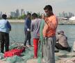 La pescuit de crabi în Doha
