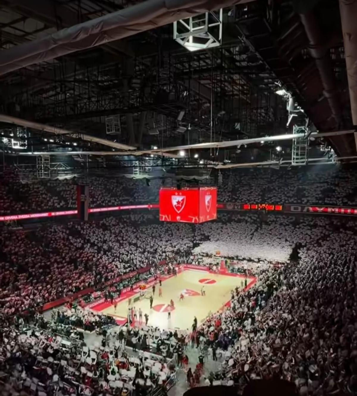 Electric Crvena Zvezda: atmosferă de excepție la baschet în EuroLiga