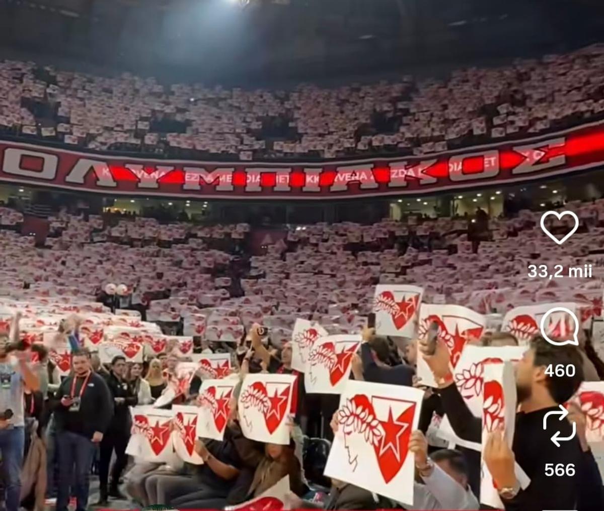 Electric Crvena Zvezda: atmosferă de excepție la baschet în EuroLiga