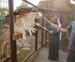 Lamine Yamal a vizitat o grădină zoologică în ziua de Crăciun // foto: x