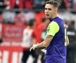 Louis Munteanu și-a adus deservicii prin gestul lui. Foto: Imago Images