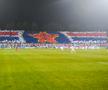 Peluza Nord - FCSB