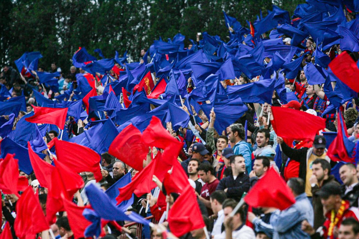 Peluza Nord - FCSB