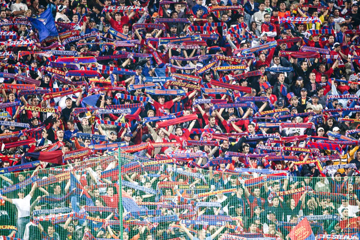 Peluza Nord - FCSB