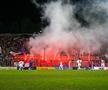 Peluza Nord - FCSB