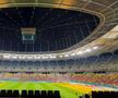 Cum arată gazonul Arenei Naționale înaintea meciului din Europa League, dintre FCSB - Fenerbahce. Foto: Carmen Dumitru (GSP.RO)