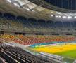 Cum arată gazonul Arenei Naționale înaintea meciului din Europa League, dintre FCSB - Fenerbahce. Foto: Carmen Dumitru (GSP.RO)