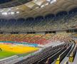 Cum arată gazonul Arenei Naționale înaintea meciului din Europa League, dintre FCSB - Fenerbahce. Foto: Carmen Dumitru (GSP.RO)