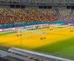 Cum arată gazonul Arenei Naționale înaintea meciului din Europa League, dintre FCSB - Fenerbahce. Foto: Carmen Dumitru (GSP.RO)