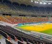 Cum arată gazonul Arenei Naționale înaintea meciului din Europa League, dintre FCSB - Fenerbahce. Foto: Carmen Dumitru (GSP.RO)