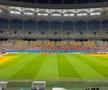 Cum arată gazonul Arenei Naționale înaintea meciului din Europa League, dintre FCSB - Fenerbahce. Foto: Carmen Dumitru (GSP.RO)