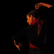 Patricia Donn