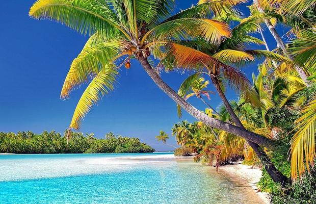 De la plaje vulcanice la peisaje de film: vacanța în Tenerife te scoate complet din rutină
