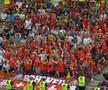 Sectorul elvețienilor pe Arena Națională