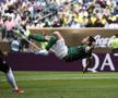 Palmeiras - Botafogo, în „optimile” Campionatului Mondial al Cluburilor 2025 / Foto: Imago Images