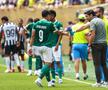 Palmeiras - Botafogo, în „optimile” Campionatului Mondial al Cluburilor 2025 / Foto: Imago Images