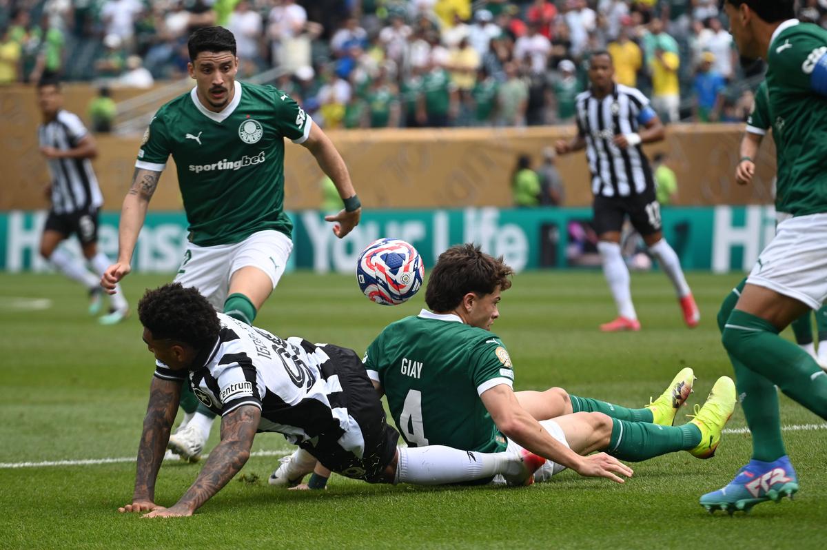 Palmeiras - Botafogo