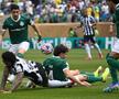 Palmeiras - Botafogo, în „optimile” Campionatului Mondial al Cluburilor 2025 / Foto: Imago Images