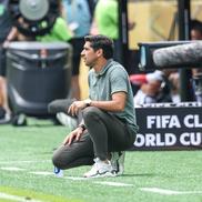 Palmeiras - Botafogo, în „optimile” Campionatului Mondial al Cluburilor 2025 / Foto: Imago Images