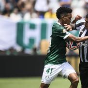 Palmeiras - Botafogo, în „optimile” Campionatului Mondial al Cluburilor 2025 / Foto: Imago Images
