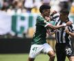 Palmeiras - Botafogo, în „optimile” Campionatului Mondial al Cluburilor 2025 / Foto: Imago Images
