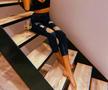 FOTO Un fotbalist de top o asaltează cu mesaje pe o vedetă de televiziune care este măritată: „E obsedat de ea, îi scrie de câțiva ani!”