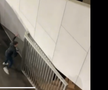 Gest HULIGANIC în Giulești » Atac îngrozitor la adresa siguranței presei! Jurnalist bruscat de un impresar care purta o legitimație a clubului din Superligă: „Dormiți!”