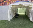 Înainte de FCSB - Oțelul, 28 septembrie