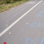 Palatul lui Gigi Becali a fost vandalizat / Foto: captură ecran Antena 1