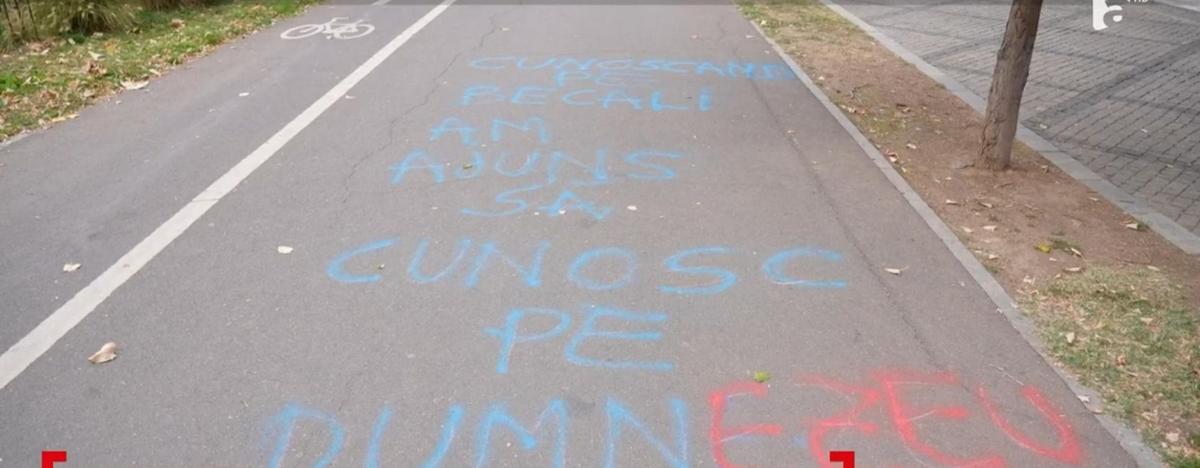 Palatul lui Gigi Becali, vandalizat