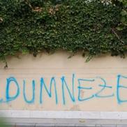 Palatul lui Gigi Becali a fost vandalizat / Foto: captură ecran Antena 1
