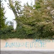 Palatul lui Gigi Becali a fost vandalizat / Foto: captură ecran Antena 1